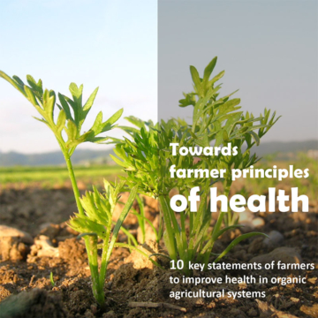 Download Towards Farmer Principles of Health