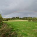 Agroforestry ELM Test 106 – Designing an Environmental Land Management system for UK agroforestry