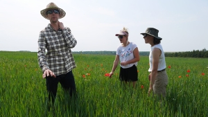 Members of the Yorkshire Grain Alliance visit Mike Stringer’s crops for 2023 harvest.