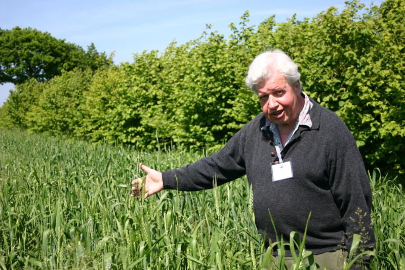 Martin Wolfe at Wakelyns in 1998