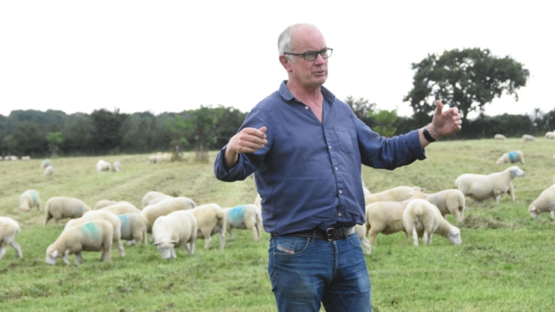 John Pawsey in a field of sheep. Photo: Martin Kunz