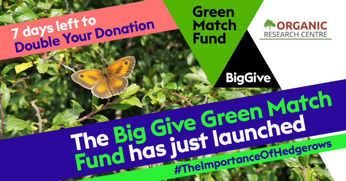 The Big Give Green Match Fund has just launched