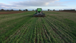 Living mulch trial