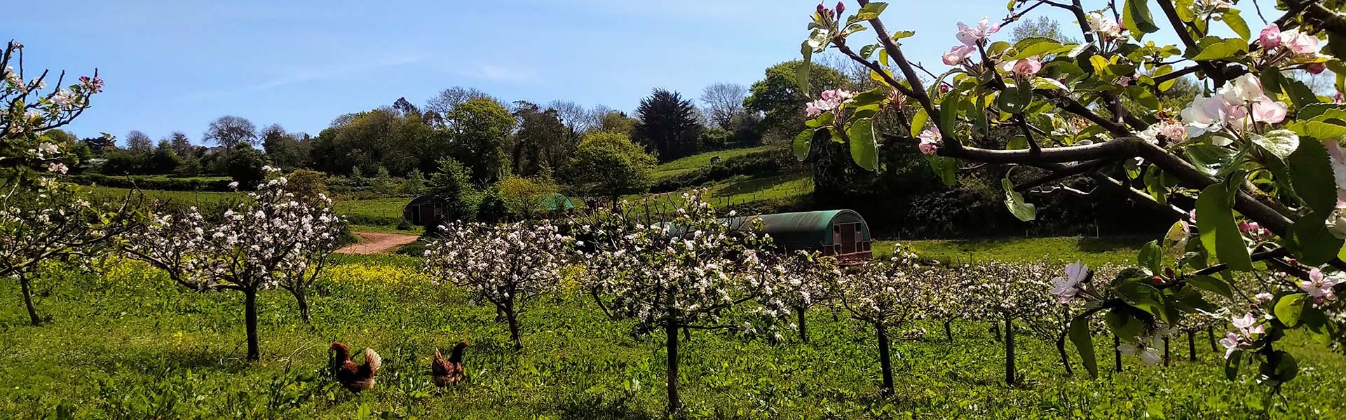 Organic Farm Handbook