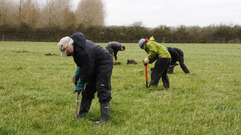 Farmer/grower tree planting survey - The Organic Research Centre