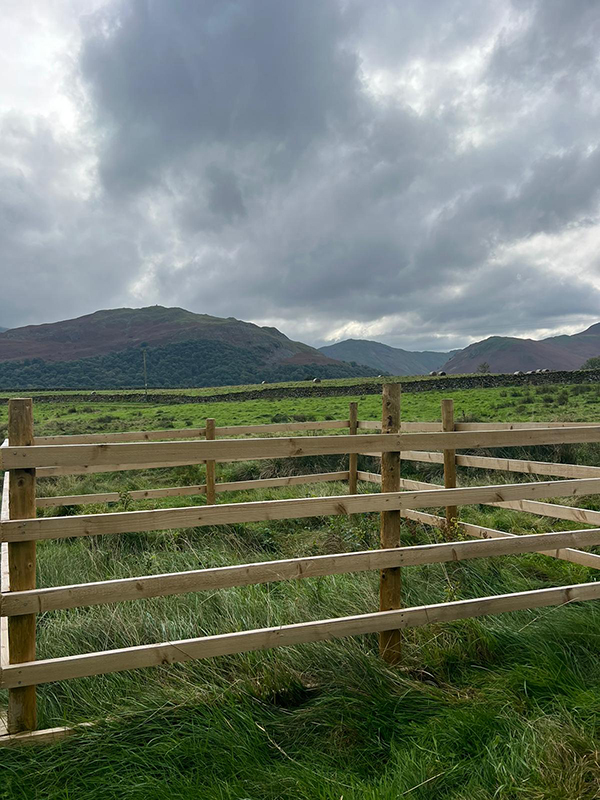 Enclosures to protect tree planting at Gowbarrow Hall Farm