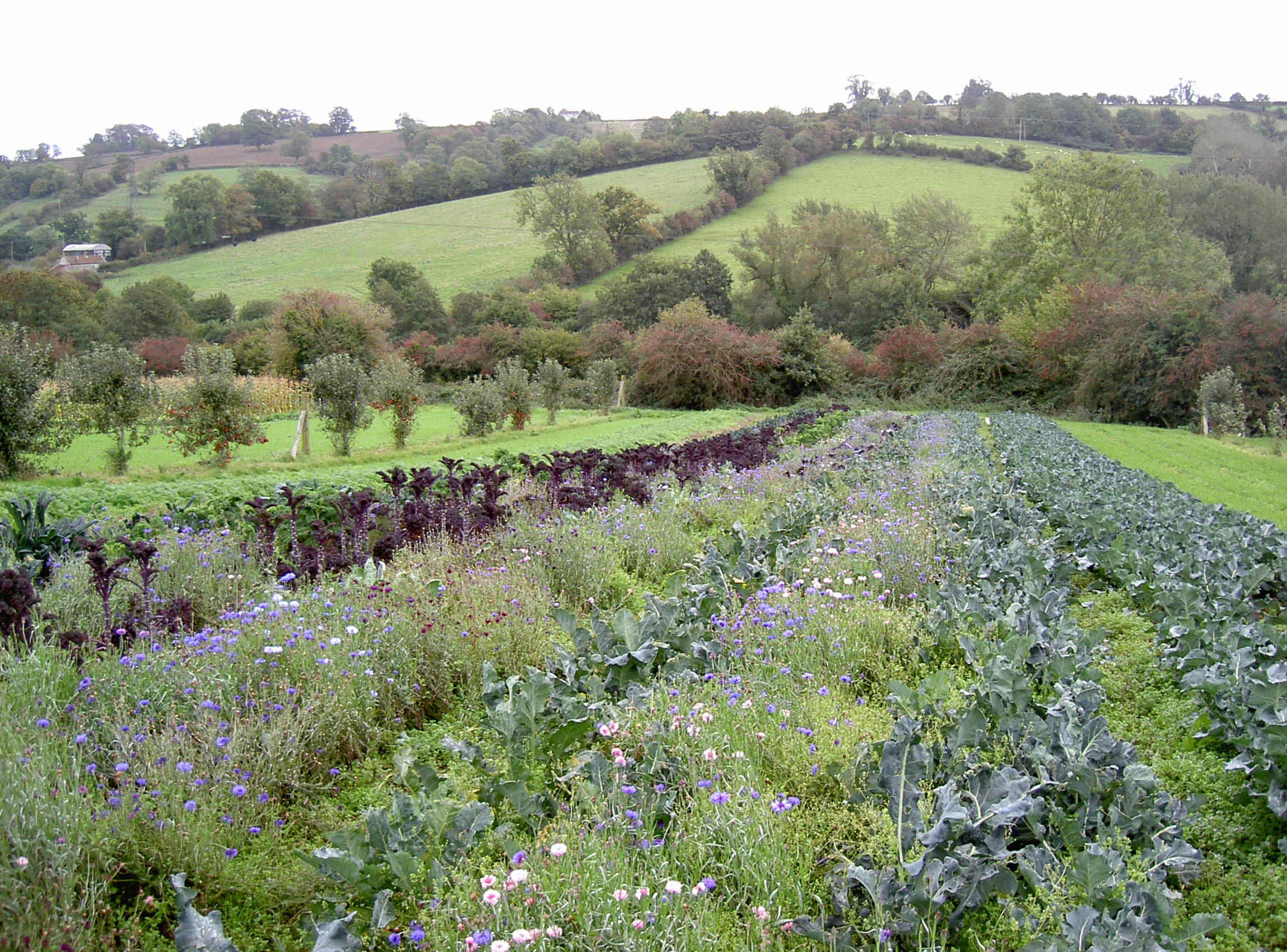 Radford Mill Farm