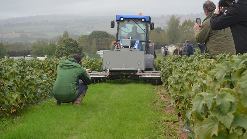 Electrical weeding field lab. Photo: Innovative Farmers