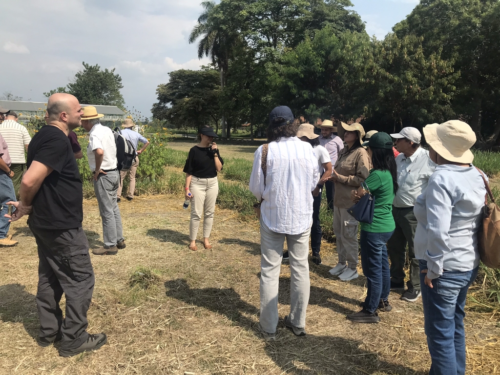 The group being shown a forage trial at CIAT
