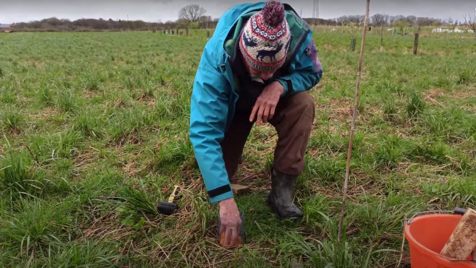 Assessing water infiltration in an agroforestry system