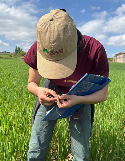 Assessing crops at Denby Hall