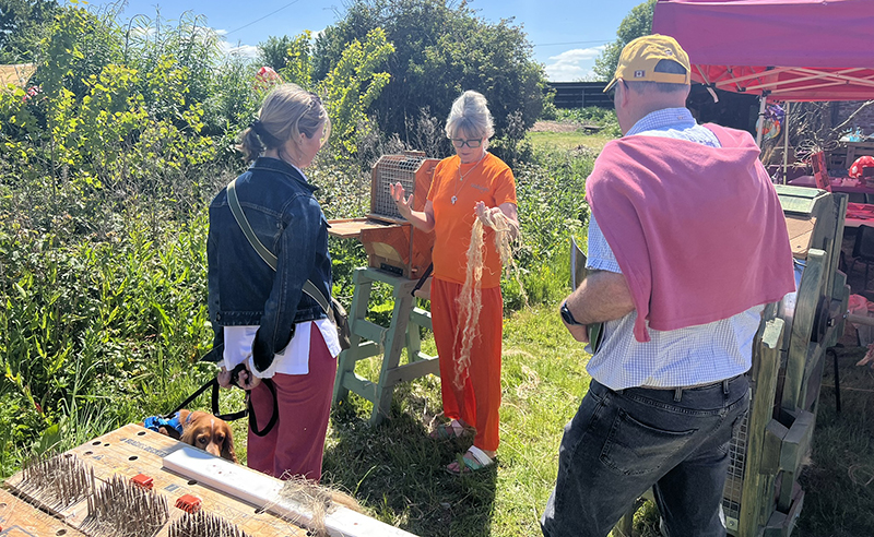 Demonstration of hemp carding