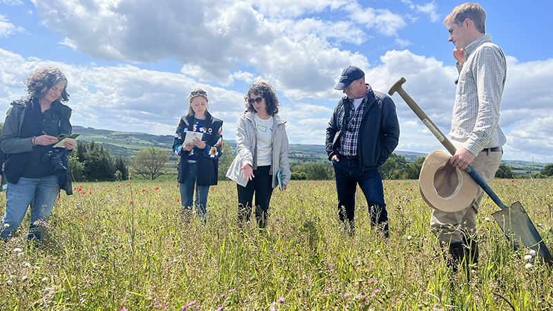 A group stand in a field  discussing living mulches