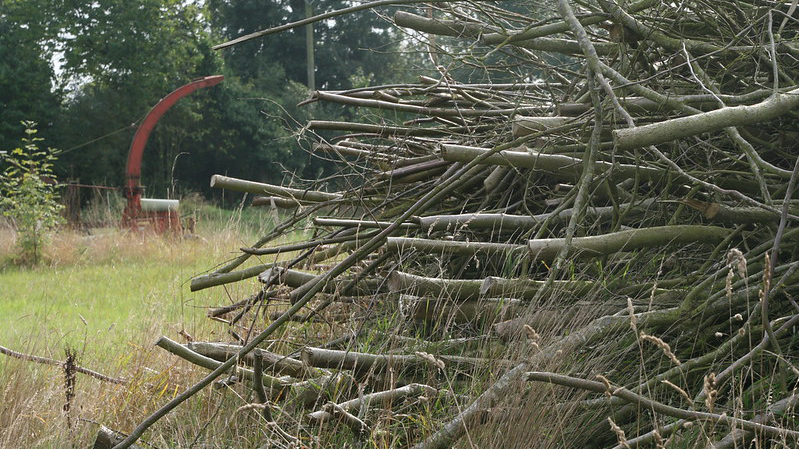 Pile of branches with chipper in the background