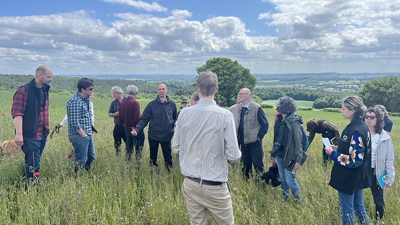 Group of people in a field