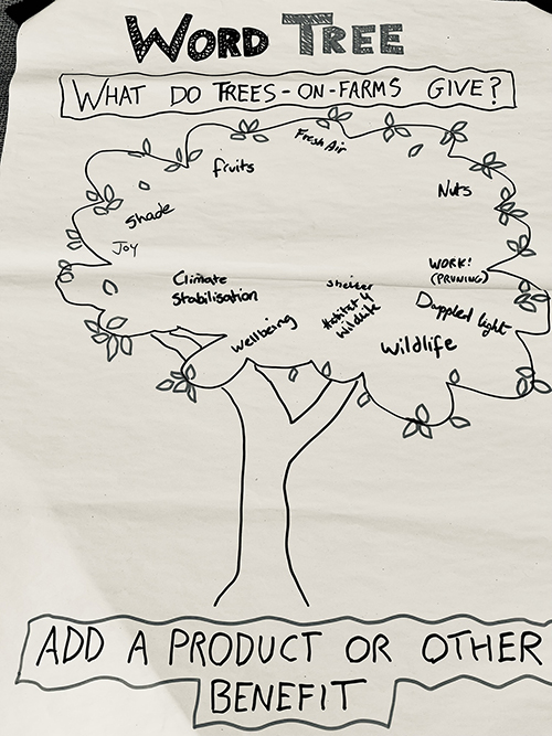 Word tree: a poster with a blank outline of a tree and the question 'What do trees on farms give? Add a product or other benefit.' People had written: 
Shade, Fruits, Fresh air, Nuts, Joy, 
Climate stabilisation, 
Wellbeing, 
Shelter, Work! (Pruning), 
Dappled light, 
Wildlife