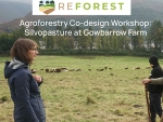 ReForest Silvopasture Codesign Workshop