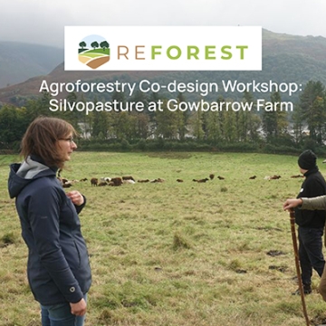 2 people in a field with cattle and trees and hills