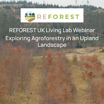 Agroforestry on an upland farm -showing bands of trees in autumn with grass between. Also shows ReForest logo and title of webinar