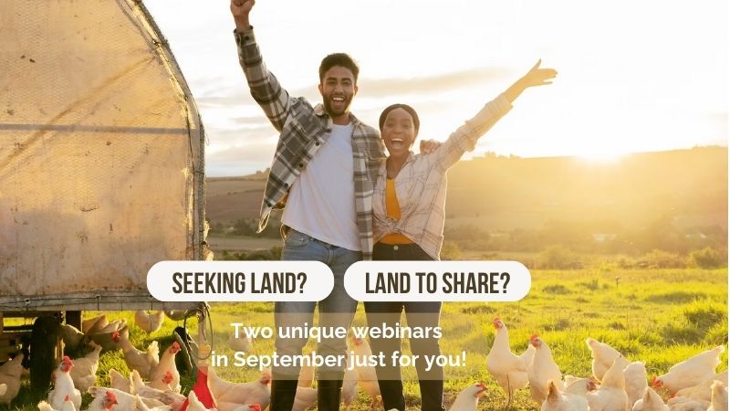 A couple of people standing in a field with chickens and arms raised up.