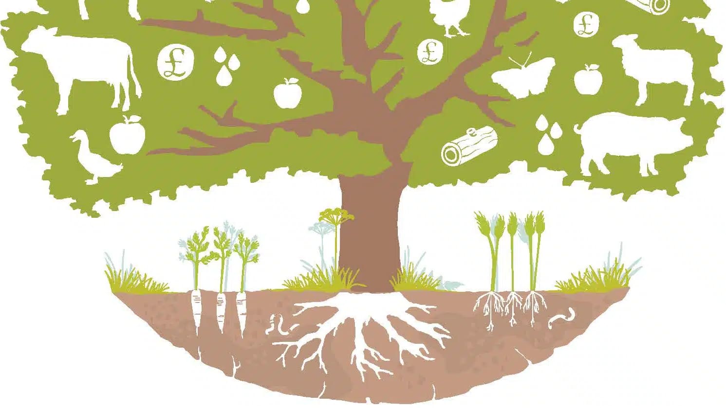 Part of cover image of book