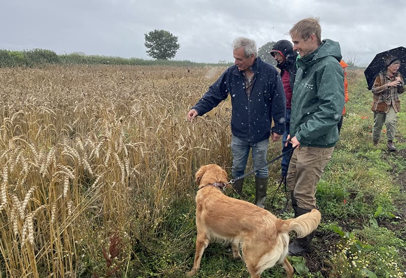A group of people and a dog look at grain plot trials