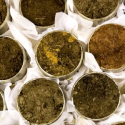 Early indicators to monitor changes in soil health: evidence to update guidance for UK farmers 