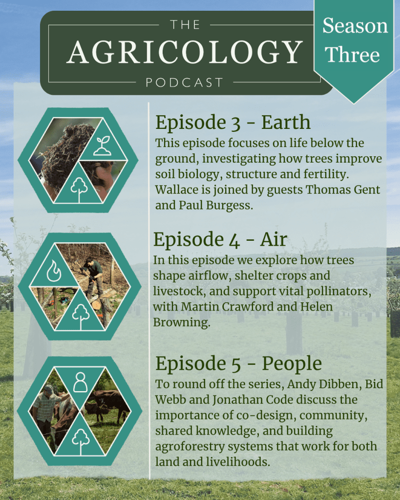 Poster for final 3 episodes of podcast series