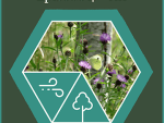 Agroforestry Through the Elements – Air