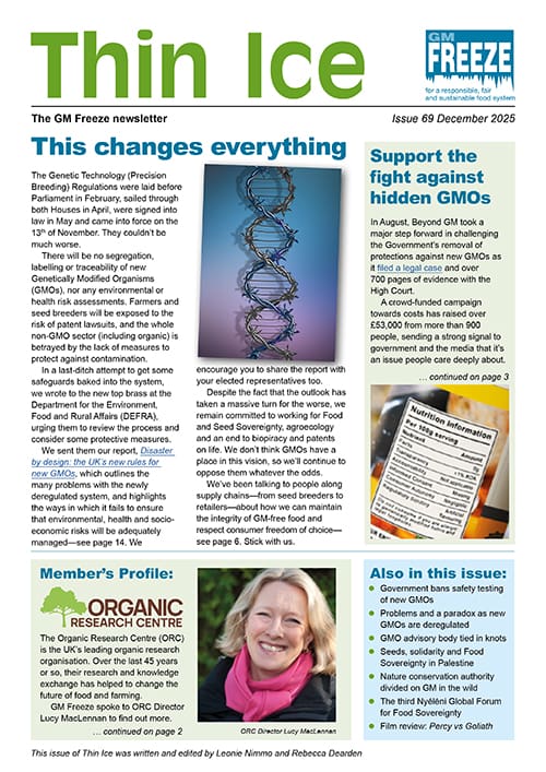 Cover image of Thin Ice newsletter