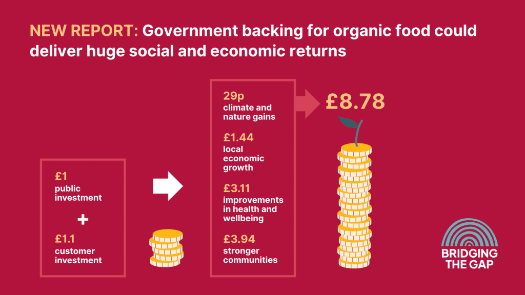 Infographics of main findings from Bridging the Gap report