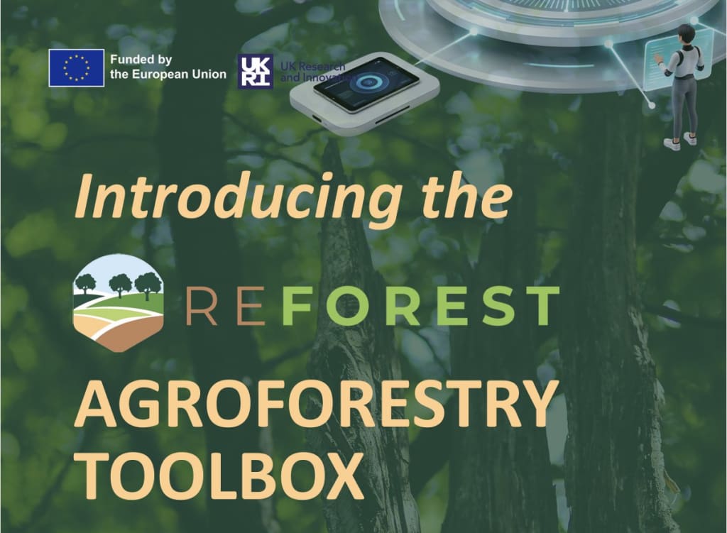 Promo image for toolbox