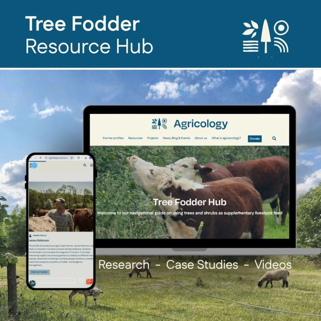 promo image for Tree Fodder Resource Hub showing image on screen and phone