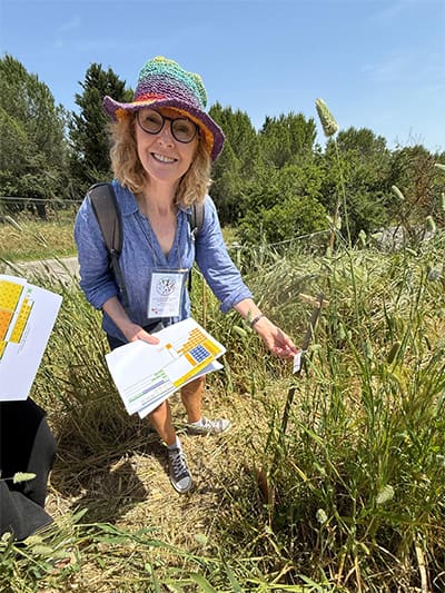 Julia Cooper scoring wheat varieties in the field