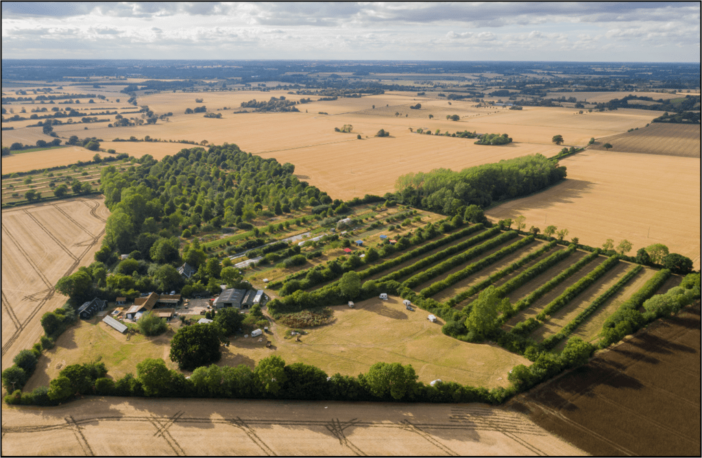 Wakelyns from the air showing the established agroforestry system and lots of activity on the ground