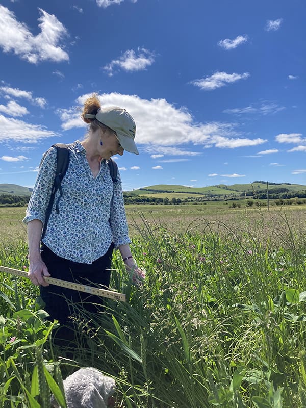 Julia assessing a crop in the field