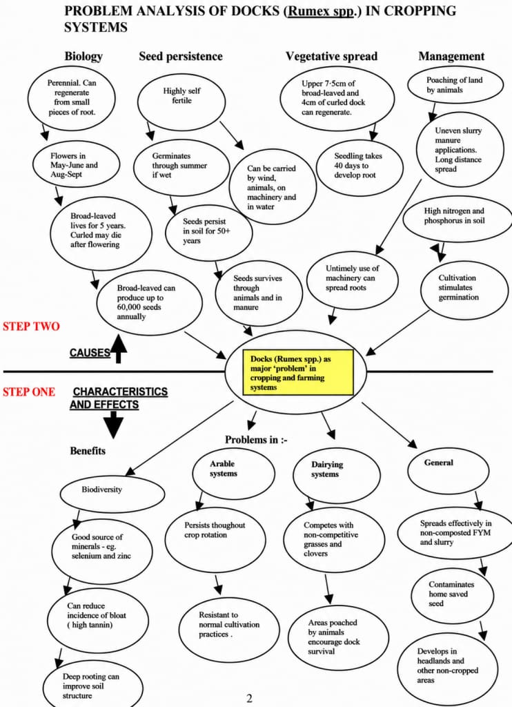 Flowchart of problems arising from docks in organic systems