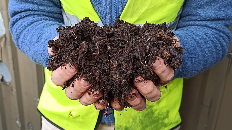 Compost and worms in the hands